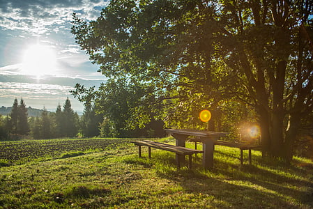 brown wooden picnic table and chair set thumbnail
