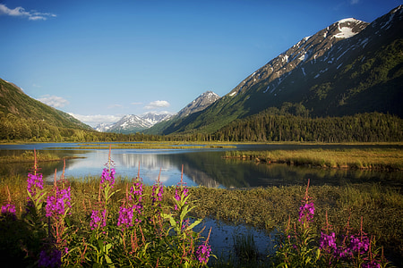 lake surrounded by mountains thumbnail