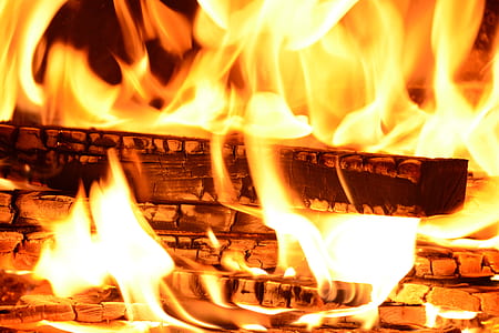 brown firewoods thumbnail