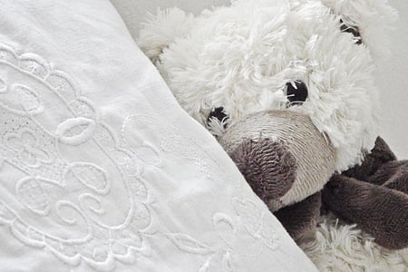 white and brown teddy bear laying on white pillow thumbnail