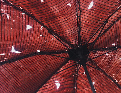 red, pattern, outside, black thumbnail
