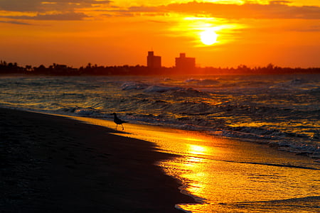 wide angle photo of shore during sunset thumbnail
