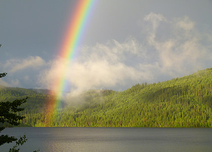 landscape photography of rainbow above hill beside lake under clear sky during daytime thumbnail