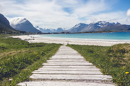 gray beach pathway surrounded by grass thumbnail