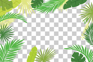 Arecaceae Text Branch Leaf Illustration, Palm leaf border, green leaves illustration PNG clipart