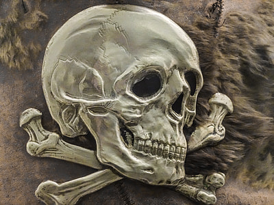 silver skull embossed thumbnail