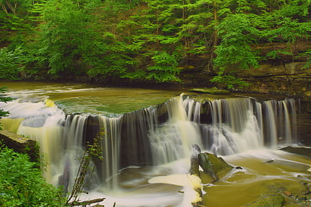 Hd Photography of River Surrounded With Trees thumbnail