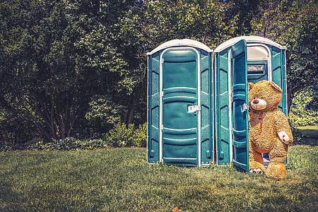 brown bear plush toy standing near blue cubicle thumbnail