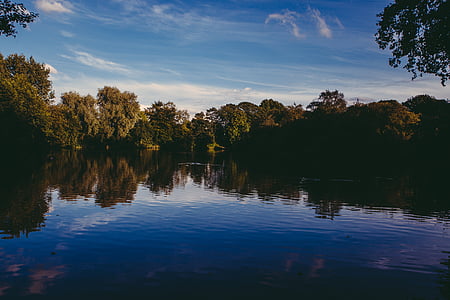 body of water surrounded by green leaf trees thumbnail