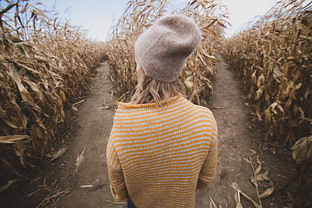 woman wearing yellow stripe shirt and gray knit cap standing in corn field during daytime thumbnail
