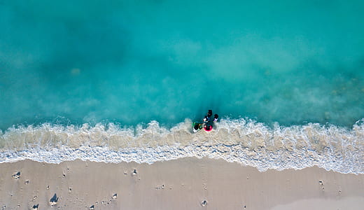 photo of people on seashore beside sea waves thumbnail