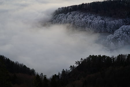 aerial view photography of forest covered by clouds thumbnail
