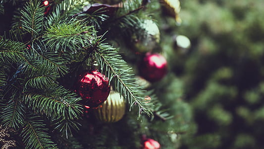 christmas tree with red and gold bauble thumbnail