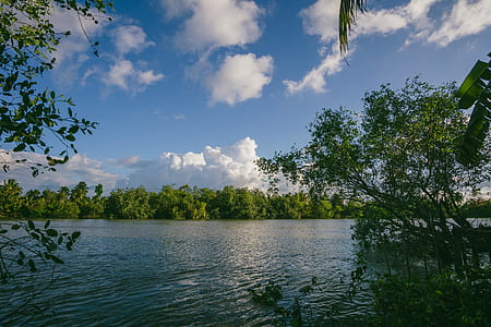 Body of Water thumbnail