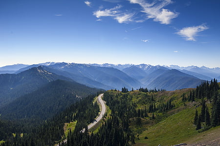 aerial view photography of empty roadway between green trees near mountain during daytime thumbnail