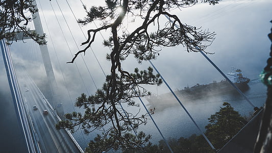 high-angle photography of bridge covered with smoke thumbnail
