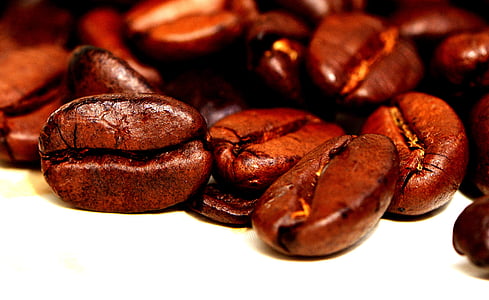 oval brown nut lot thumbnail