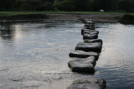 stone pathway on body of water thumbnail