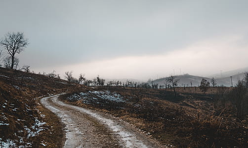 landscape photo of field thumbnail