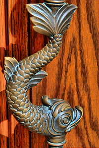 macro shot photography of fish table decor thumbnail