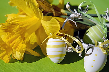 yellow daffodil flower and multicolored Easter eggs thumbnail