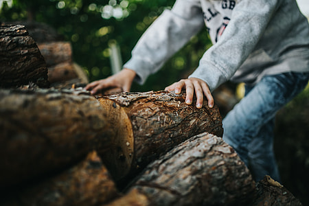 Young boy in the garden thumbnail