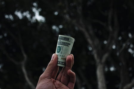 person holding 20 dollar banknote thumbnail