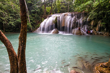 Tropical Waterfall Photo thumbnail
