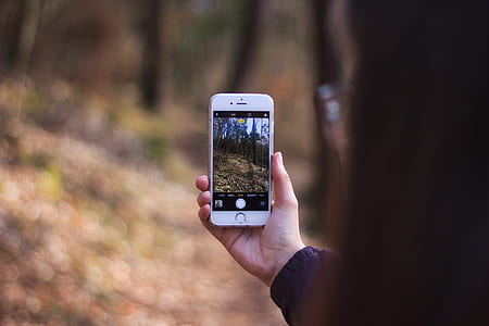 woman taking picture on trees thumbnail