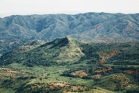 mountain surrounded by trees during daytime thumbnail