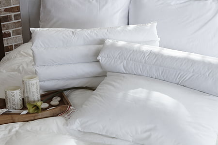 pillow, bedroom, dragonfly, quilt, white color, indoors thumbnail