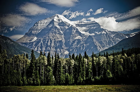 white and black mountains near trees digital wallpaper thumbnail