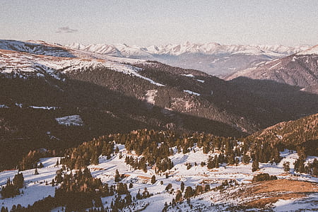 view of trees on mountain thumbnail