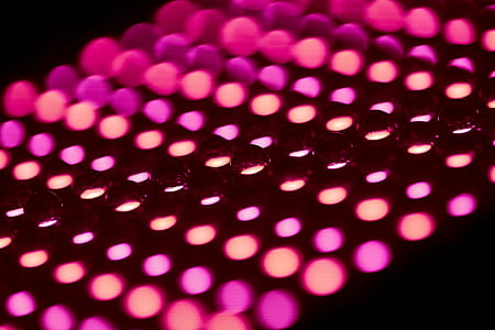 close up photo of light thumbnail