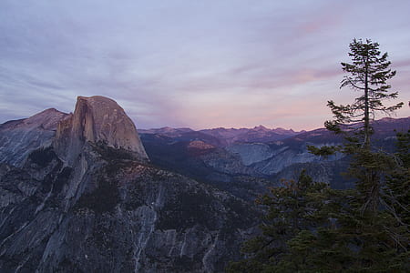 aerial photography of tree and mountain thumbnail