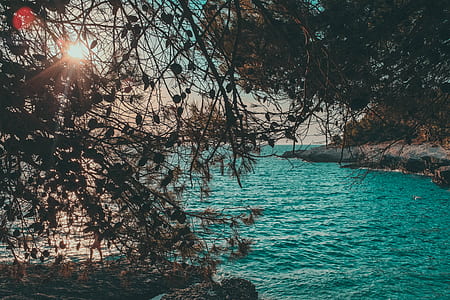 body of water beside rock mountain thumbnail