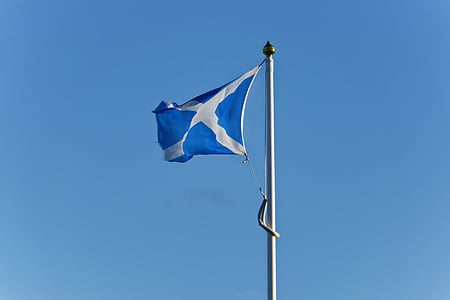 blue and grey flag waving during day thumbnail
