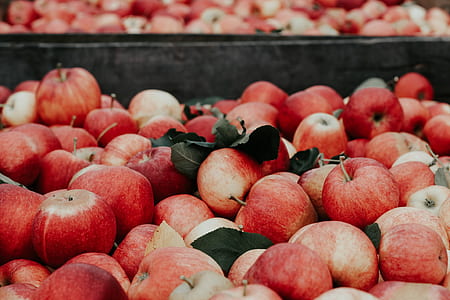 red apple lot thumbnail