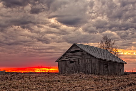 brown wooden shed on open field thumbnail