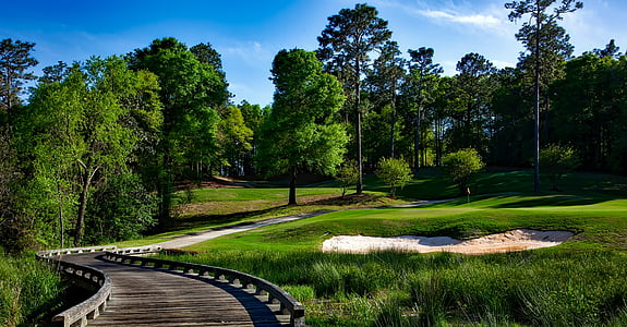 wooden bridge near grass field and trees under cloudy sky at daytime thumbnail