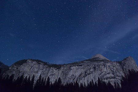 pine trees near cliff at nighttime thumbnail
