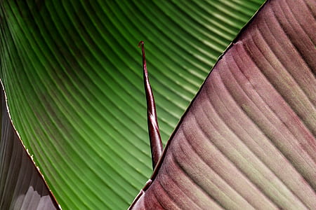 pink and green cloth thumbnail