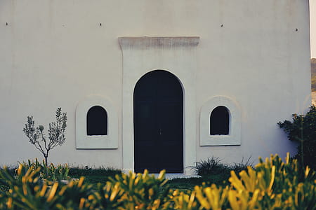 White House With Closed Doors thumbnail
