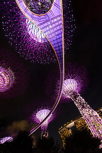 worm's eye view of purple tree lights thumbnail