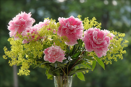 pink Peony, yellow Lady's Mantle flowers in vase thumbnail