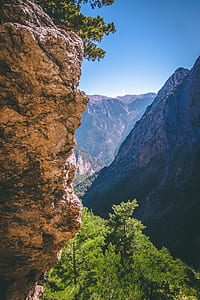 cliff surrounded by forest thumbnail