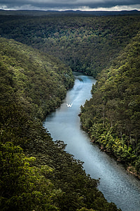 body of water between green trees at daytime thumbnail
