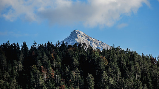 Mountaintop above the trees in Gasse, Austria thumbnail