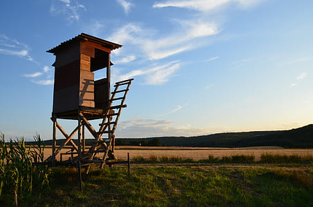 brown wooden house with ladder in grass field thumbnail