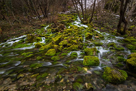 Flowing River and Moss Covered Rocks thumbnail